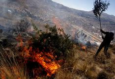 Un muerto y tres heridos por incendio forestal en Pasco