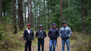 México: retrasos en permisos de aprovechamiento forestal deja en desamparo a comunidades