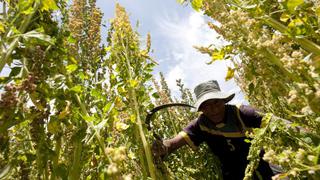 La agricultura hizo más frágiles los huesos humanos