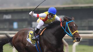 El Clásico Ciudad de Lima se correrá este domingo en el Hipódromo de Monterrico