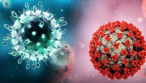 Nueva variante del coronavirus: qué se sabe sobre “Pirola”, según la OMS