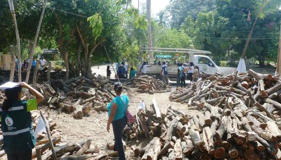 Dictan 9 meses de prisión para maderero por extracción forestal