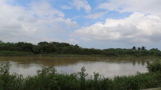 Lluvias en el norte:ríos Tumbes y Zarumilla mantienen niveles normales