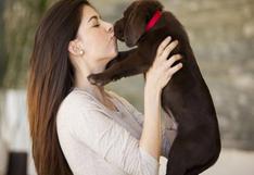 3 remedios caseros para combatir el mal aliento de tu mascota