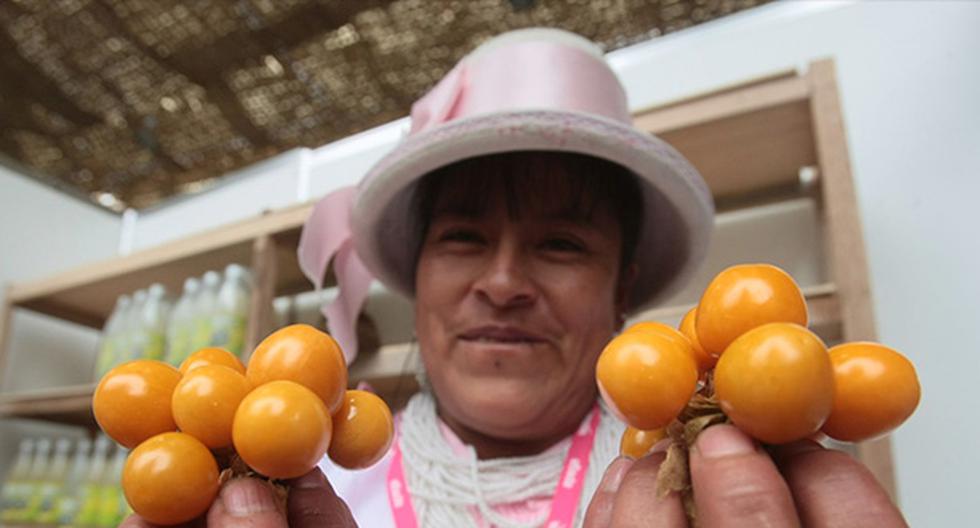 Exportación de aguaymanto creció 81,5% a setiembre de este año. (Foto: Andina)