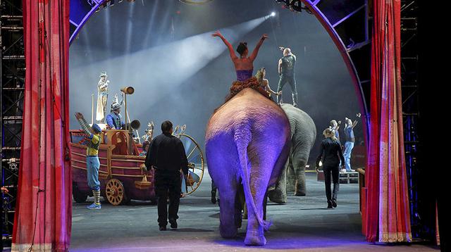 Elefantes actúan por última vez en emblemático circo de EE.UU. - 5