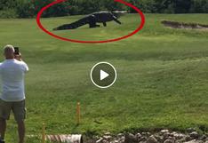 Caimán gigante aparece en partido de golf y aterra al mundo