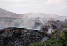 Áncash: incendio destruye tres hectáreas del Vivero Forestal de Chimbote | FOTOS