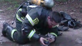 El conmovedor rescate de un bombero a un gato intoxicado por humo de incendio