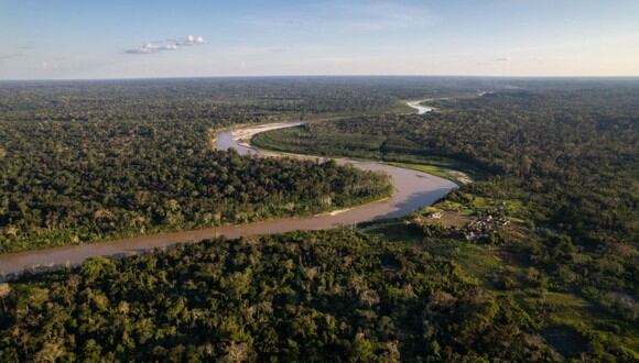Iniciativa planea plantar 15 mil árboles en la Amazonía peruana