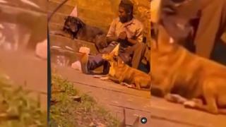 Conmovedor video: habitante de calle les celebra el cumpleaños a sus perros