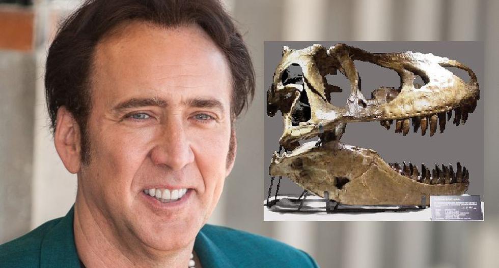 Nicolas Cage y un cráneo de tarbosaurus (Foto: Wikimedia / Getty Images)