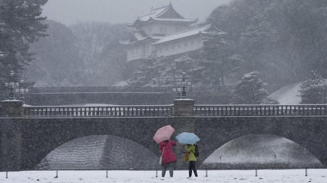 Tokio atraviesa su peor tormenta de nieve en 13 años - 1