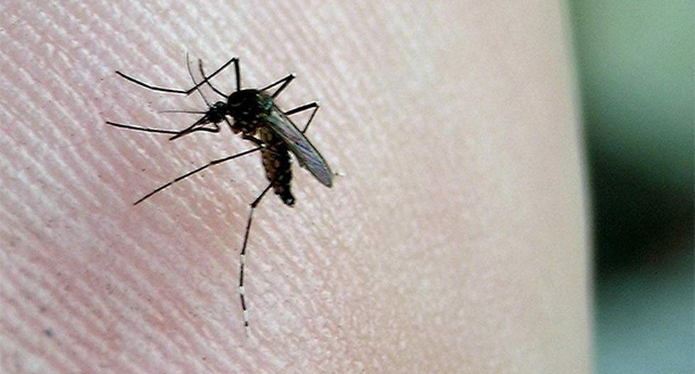 Minsa descartó la presencia del virus Zika en el Perú. (Foto: Agencia Andina)