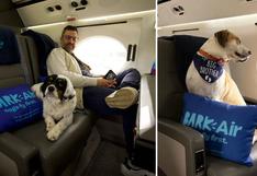 Primera aerolínea para perros ofrece pasajes desde 6 mil dólares