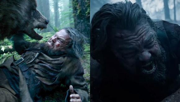 Oscar: las confesiones del oso que actuó con Leonardo DiCaprio
