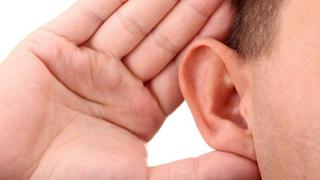 El oído activaría mecanismo de defensa ante ambientes ruidosos