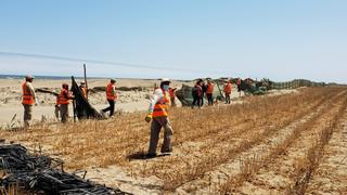 La Libertad: recuperan sitio arqueológico Huaca Barco, que forma parte del Patrimonio Cultural de la Nación