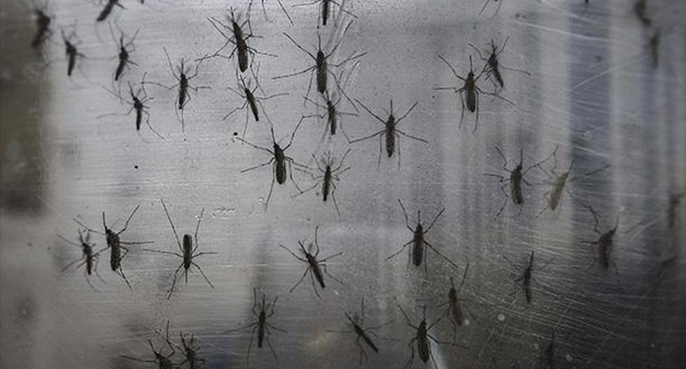El zika puede haberse convertido en un nuevo síndrome congénito, según la OMS. (Foto: Getty Images)