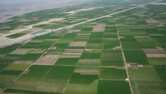 El proyecto busca impulsar la irrigación de 38 mil 500 hectáreas de tierras de cultivo. Foto: Referencial / Ronald Mamani Villalba
