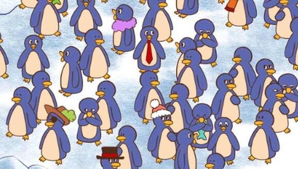 RETO VISUAL | En esta imagen puedes apreciar varios pingüinos. Uno de ellos sostiene una taza de chocolate. (Foto: genial.guru)