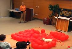YouTube: perro rompe 100 globos y logra récord Guinness