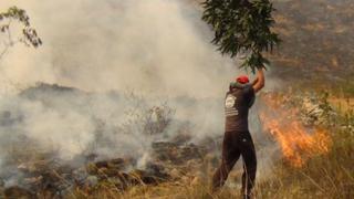 Tarma: más de 9 horas duró el incendio forestal en Muruhuay
