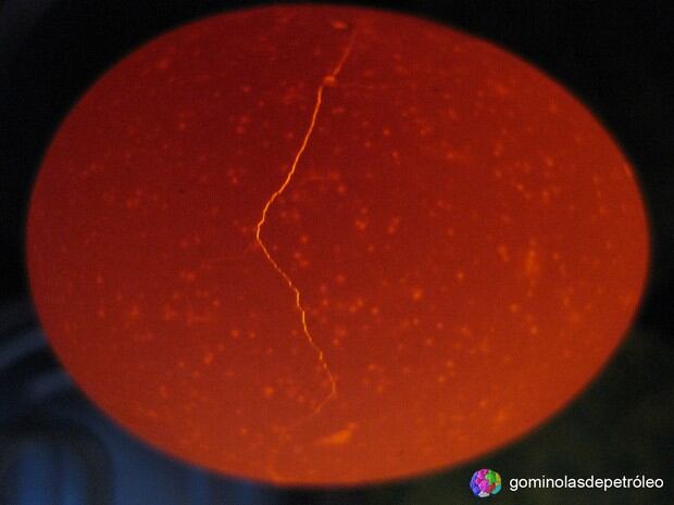 Identifica aberturas y grietas en un huevo con un ovoscopio casero (Foto: Gominolasdepetróleo)