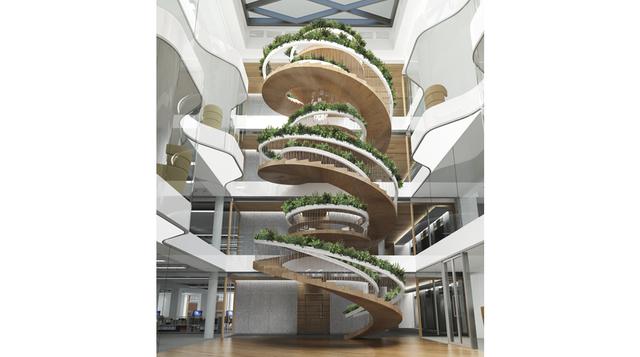 Estas escaleras naturales son un espacio social en la oficina - 2
