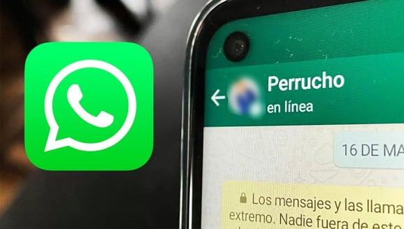 De esta manera podrás leer tus mensajes de WhatsApp sin aparecer en línea y sin desconectarte de internet. (Foto: MAG)