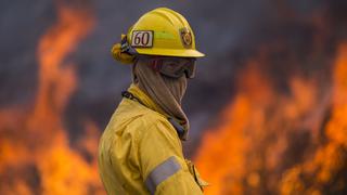 Incendio sin precedentes obliga a evacuar más de 500 casas en Los Ángeles [FOTOS]
