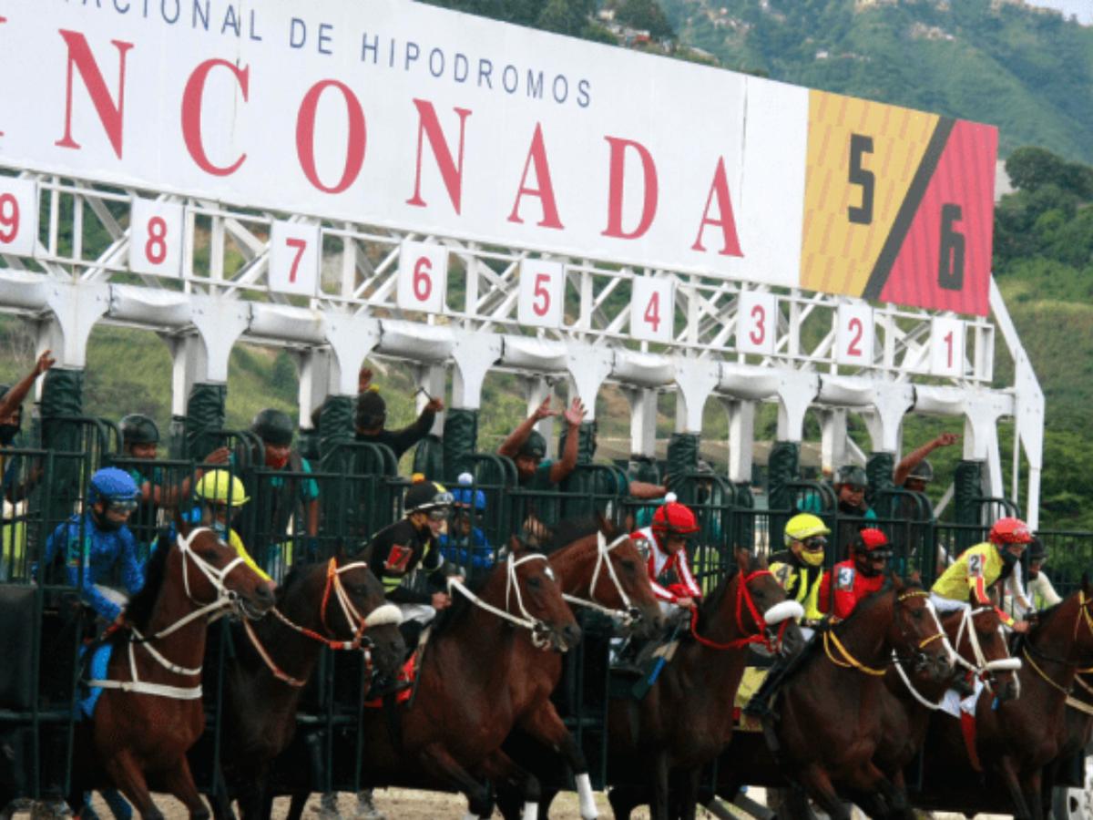 La Rinconada | Qué pronósticos 5 y 6 hay para este domingo, 26 de febrero |  RESPUESTAS | EL COMERCIO PERÚ