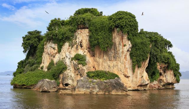 El Cayo de los Pájaros es una parada obligada en la bahía del Parque Nacional de los Haitises. (Foto: istock)