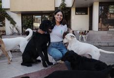 Sandra Garcés, la arequipeña que ha creado un refugio para más de 60 perros abandonados