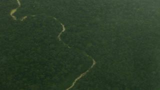 Ucayali: hallan rastros de indígenas en aislamiento en Parque Alto Purús