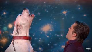 YouTube: perra cautivó al 'cantar' tema de Whitney Houston