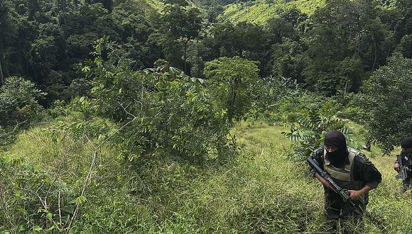 Soldados inspeccionan una plantación de hoja de coca, incautada en el municipio de Colón, departamento de Colón, en el Caribe de Honduras, el 29 de noviembre de 2022. (Foto por Folleto / Fuerzas Armadas de Honduras / AFP / ARCHIVO)