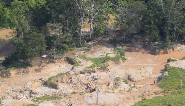 Tala ilegal en la Amazonía peruana continúa descontrolada, según Global Witness