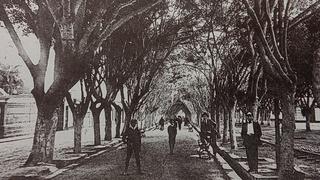 La primera vez que asfaltaron la avenida Pardo en Miraflores