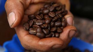 Cambio climático amenaza el cultivo de café en Perú y Latinoamérica