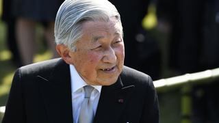 El Gobierno japonés conmemora los 30 años de reinado del emperador Akihito