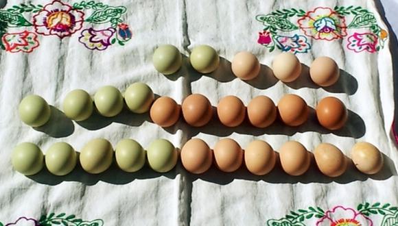 El misterio de los huevos verdes de Huánuco