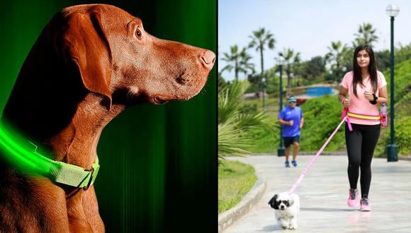 WUF: ¡5 accesorios innovadores y seguros para pasear a tu perro!, WUF