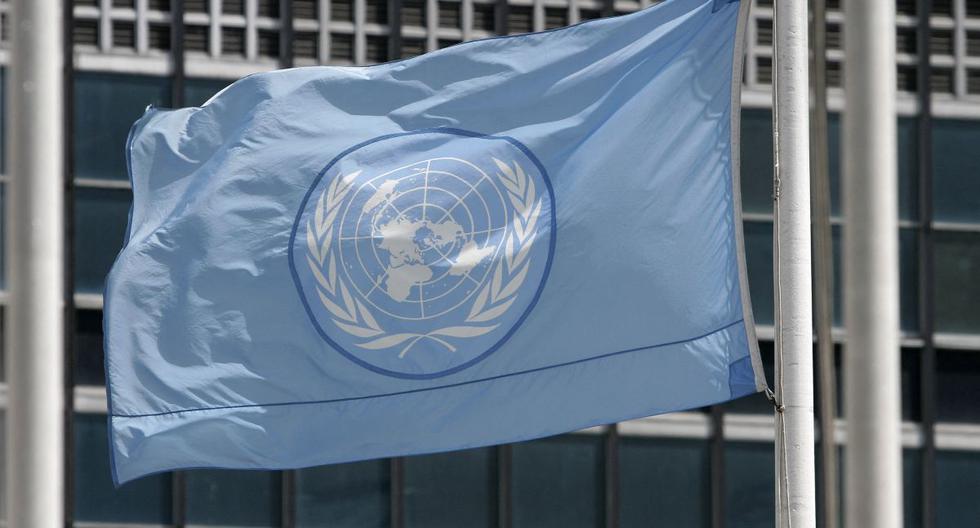 UN reaches consensus on global treaty to combat biopiracy