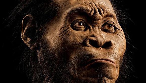 Expertos habrían determinado la edad del 'Homo naledi'