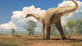 Hallan en Argentina el titanosaurio más antiguo del mundo