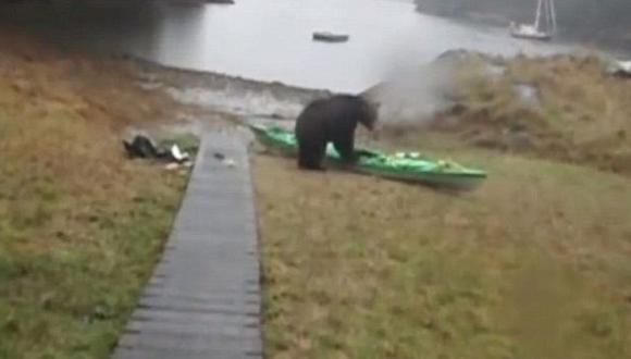 Grita histérica para espantar oso y no rompa su kayak [VIDEO]