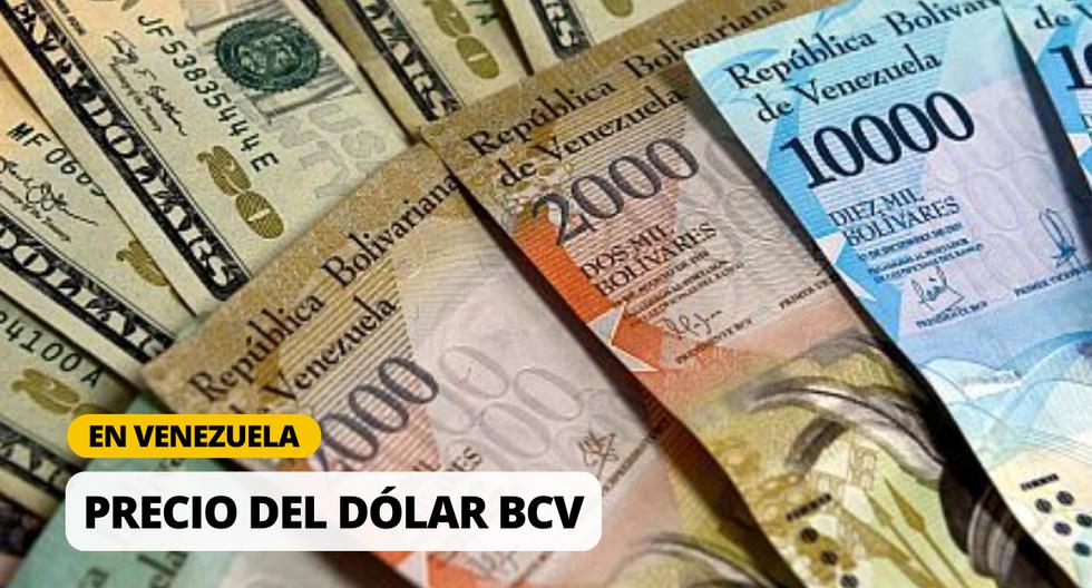 Precio dólar BCV hoy en Venezuela (Instagram) | Tasa de cambio oficial, según el Banco Central de Venezuela | Foto: Diseño EC