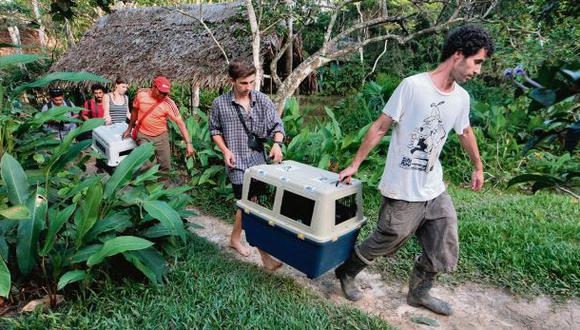 Voluntarios dejaron sus países por amor a la fauna peruana