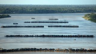 Las cientos de balsas de la minería ilegal que tomaron un río de la Amazonía brasileña en busca de oro